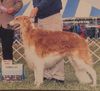 Profile picture of the animal