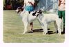 Profile picture of the animal