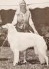 Profile picture of the animal