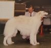Profile picture of the animal