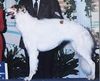 Profile picture of the animal