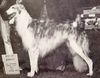 Profile picture of the animal
