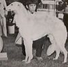 Profile picture of the animal