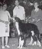 Profile picture of the animal