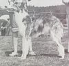 Profile picture of the animal