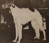 Profile picture of the animal