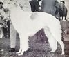 Profile picture of the animal