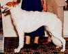 Profile picture of the animal