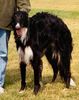 Profile picture of the animal