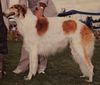 Profile picture of the animal
