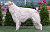 Profile picture of the animal