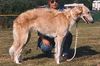 Profile picture of the animal