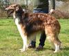 Profile picture of the animal