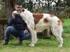 Profile picture of the animal