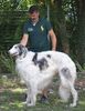 Profile picture of the animal