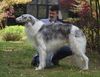 Profile picture of the animal