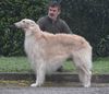 Profile picture of the animal