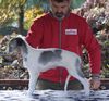 Profile picture of the animal
