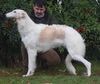 Profile picture of the animal