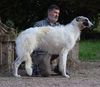 Profile picture of the animal