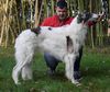 Profile picture of the animal