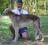 Profile picture of the animal