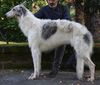 Profile picture of the animal