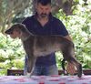 Profile picture of the animal