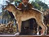 Profile picture of the animal