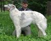 Profile picture of the animal