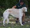 Profile picture of the animal