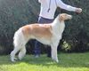 Profile picture of the animal