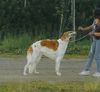 Profile picture of the animal