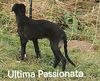 Profile picture of the animal