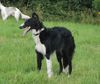 Profile picture of the animal