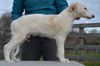 Profile picture of the animal