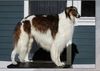 Profile picture of the animal