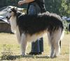Profile picture of the animal