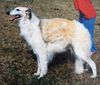 Profile picture of the animal