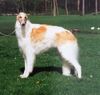 Profile picture of the animal