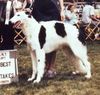 Profile picture of the animal