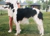 Profile picture of the animal