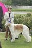 Profile picture of the animal
