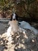 Profile picture of the animal