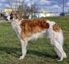Profile picture of the animal