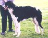 Profile picture of the animal