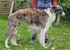 Profile picture of the animal