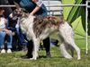 Profile picture of the animal