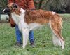 Profile picture of the animal