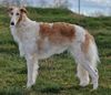 Profile picture of the animal